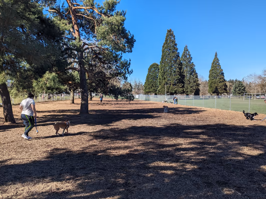 Sacajawea Park Off Leash Area photo 1